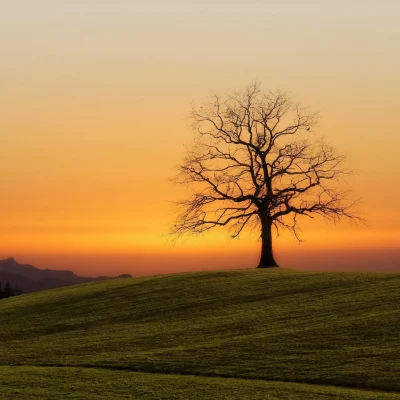 Landscape_photography_tips_featured_image_1024x1024